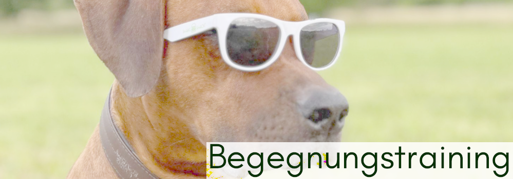 Begegnungstraining