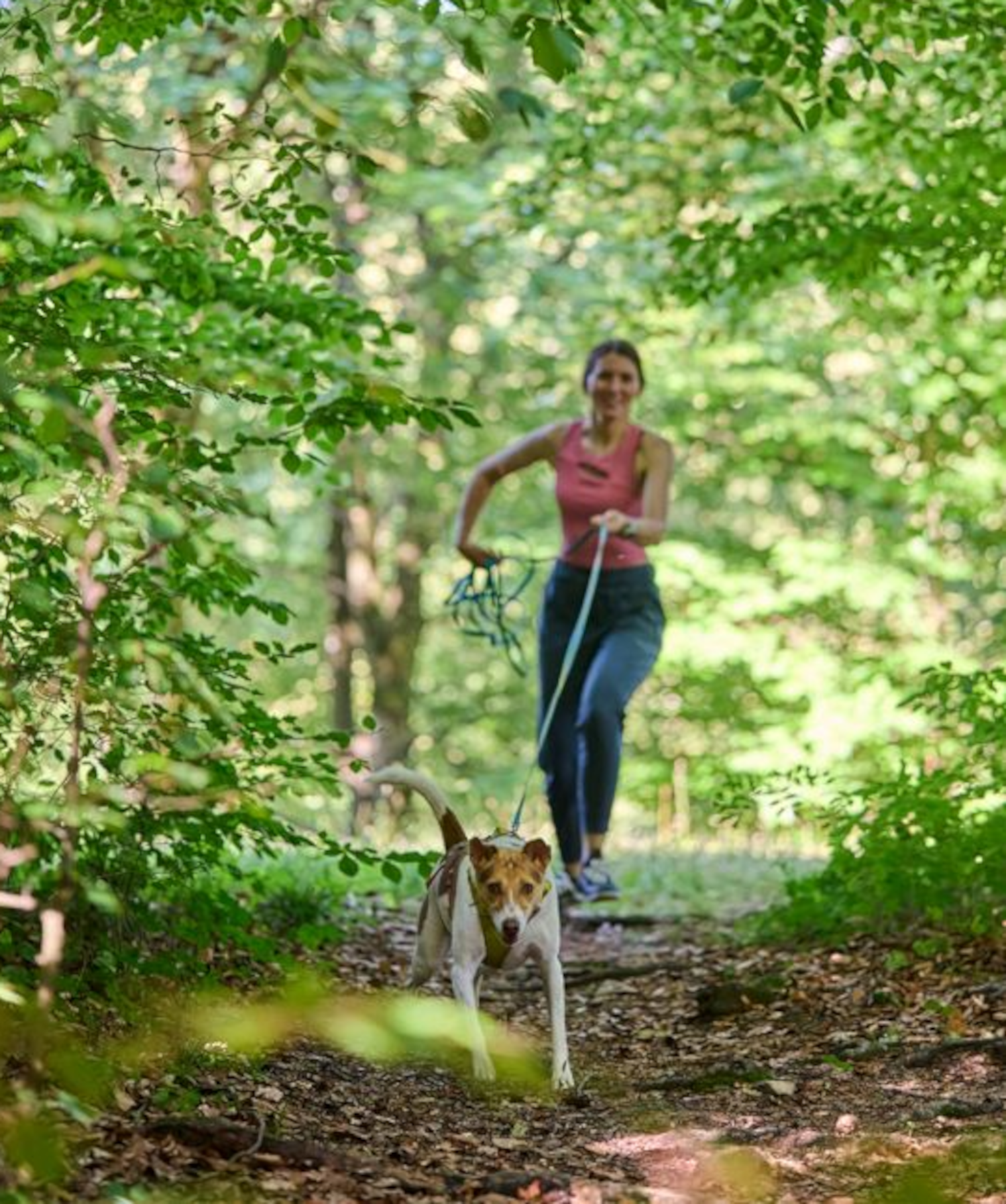 Hund beim Mantrailing